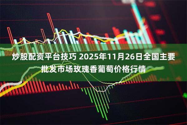 炒股配资平台技巧 2025年11月26日全国主要批发市场玫瑰香葡萄价格行情